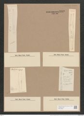 Synedra ulna var. splendens (Kuetz). Brun. (de-Toni-Nr.: Genus 66, Species 2584) Zeichnungen Sammlung Grunow Nr. 5229 (NHMW-BOT-W0373600)